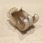 鮨 にし岡 - すみイカ焼きゲソ(京都の七味が繊細な辛さ)