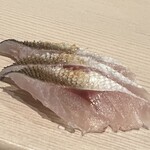 鮨 にし岡 - 江戸前のカマス(湯引きして昆布締め美味い)