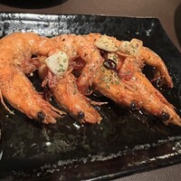 アカミヤコウシ - 