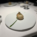 レフェルヴェソンス - 