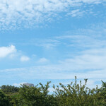 トラットリア ダル・ビルバンテ・ジョコンド - どんぐり公園の上に秋の空