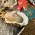 SALTY Oyster House - 