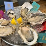 SALTY Oyster House - 