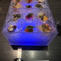 MAIMON GINZA - 