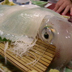 割烹よし田 - 特大のイカはとても美味しかったです。