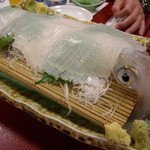 割烹よし田 - とにかく特大イカはビジュアルも圧巻です!!