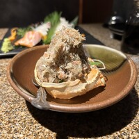 宇田川 紫扇 - 