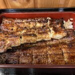 Unagi Ogawa - 