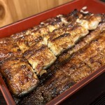 Unagi Ogawa - 