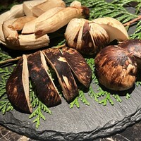 Shangri-La's secret ROPPONGI - 