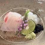 京都和久傳 - 天然真鯛とアオリイカのお造り