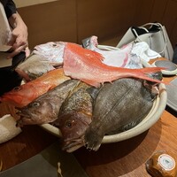 魚匠 銀平 心斎橋店 - 