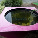 タジマコーヒー - 