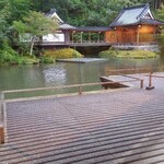 あさば - 雨だから鯉にエサやれない(泣)