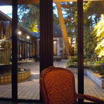 ロアラブッシュ - 