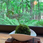 苔清庵 - 