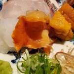 将人 - イカ、赤貝、ウニ