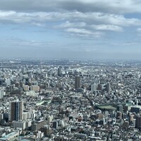 ジンジャーズビーチ サンシャイン - 