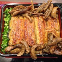 入谷鬼子母神門前のだや - うな太郎重