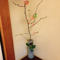 新月 - 