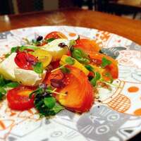 Seafood bar Ermitage 代々木店 - 