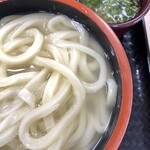 Sanuki Udon No Eki Ayagawa - 