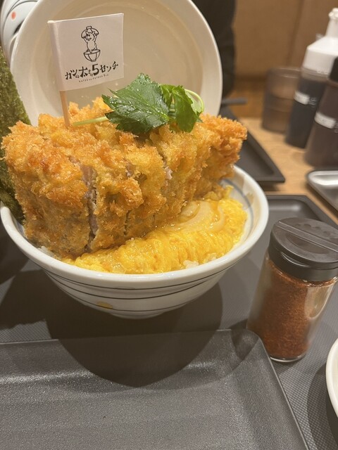 閉店】カツの太さは5センチ （Katsu no futosa 5cm【旧店名】1ポンドの