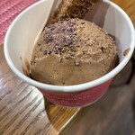 カカオもの - ベルギーチョコレートアイス（アップ）