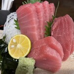 ウミネコ - 限定:キハダマグロ