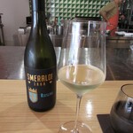 Ryoriya Takashima - SMERRLDI RIESLIN