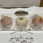 Yogurt Four Seasons - ヨーグルトプリン