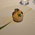 レフェルヴェソンス - 