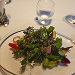 レフェルヴェソンス - 