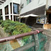coci - 