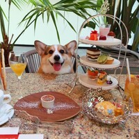 アニヴェルセル カフェ - 