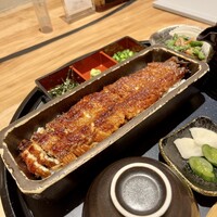 うなぎ四代目菊川 ミッドランドスクエア 名古屋本店 - 