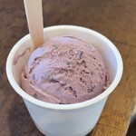 Hilo Homemade Ice Cream - 巨峰は情熱的な濃厚な味わい