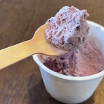 Hilo Homemade Ice Cream - 皮の渋みが舌触りと舌を刺激する