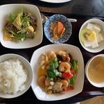 China Sichuan Shanrin