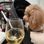 TASTY PLACE THE DINING - ２杯目♪