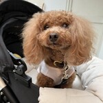 TASTY PLACE THE DINING - 可愛いなぁ～ｗ