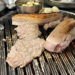 ナグネコプテギ - 