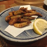 旬鮮炭火焼 獺祭 - 小エビの唐揚げ