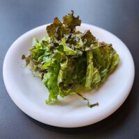 Bistro Buzz 赤坂 - サラダ
