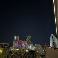 COLONIAL BEACH 横浜ハンマーヘッド - 