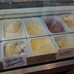 Hilo Homemade Ice Cream - フレーバーが、魅力的