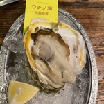 SALTY Oyster House - 