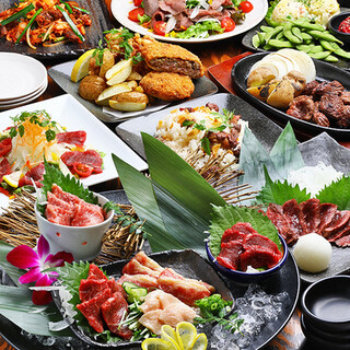 たった5,000円で馬肉もお酒も食べ飲み放題！？