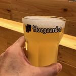 アヌビアス・ナナ - 