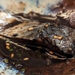 焼とり 熟成魚 木崎 - 絡めて頂いたが、最後はスプーンで飲み干した